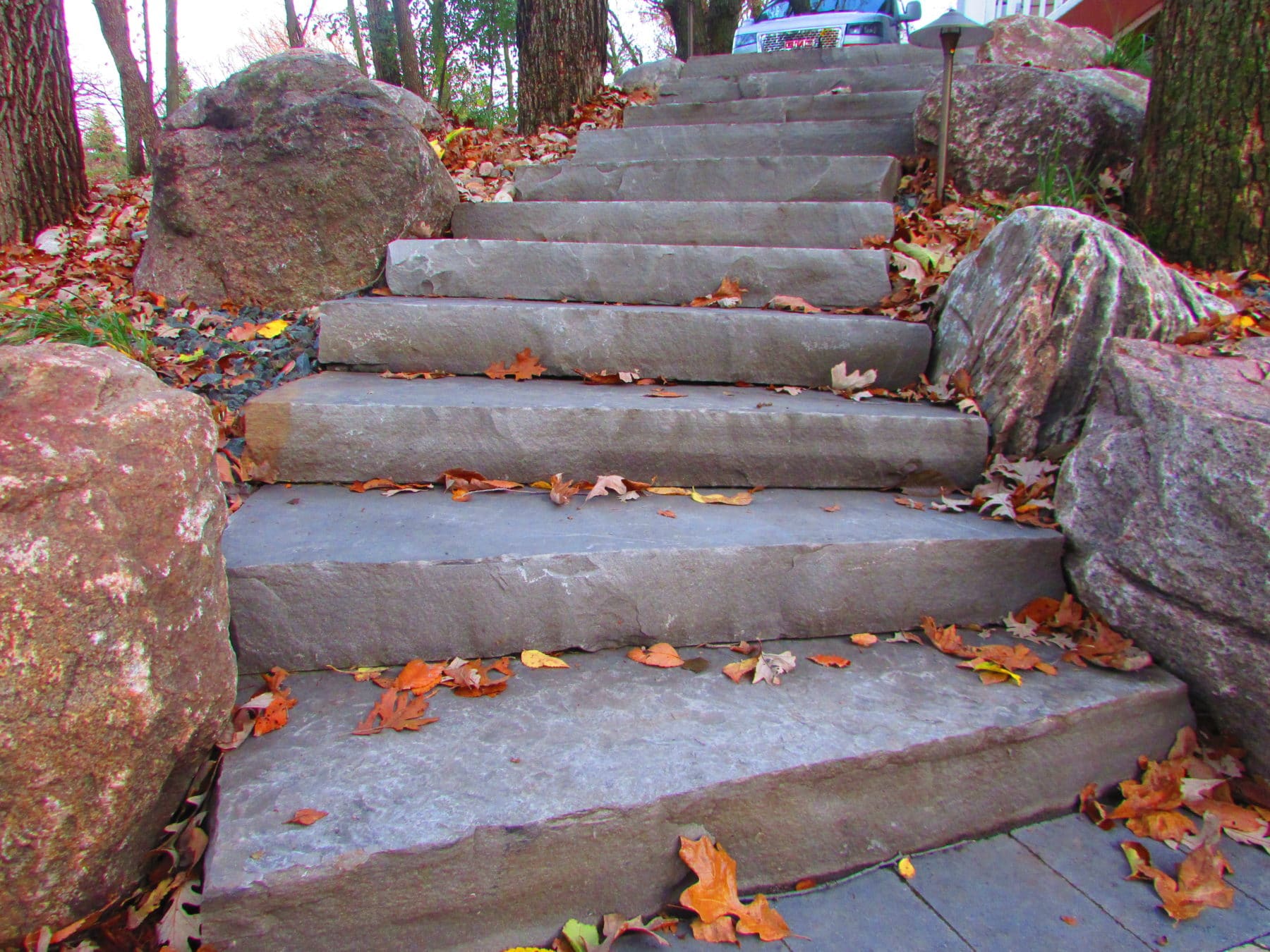 Evening-Blue-Snapped-Steps-2