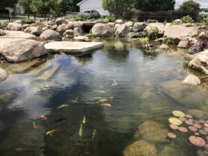 glacial-boulders-in-pond